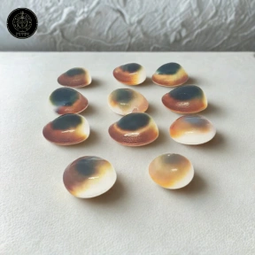 Gomti Chakra for Evil Eye